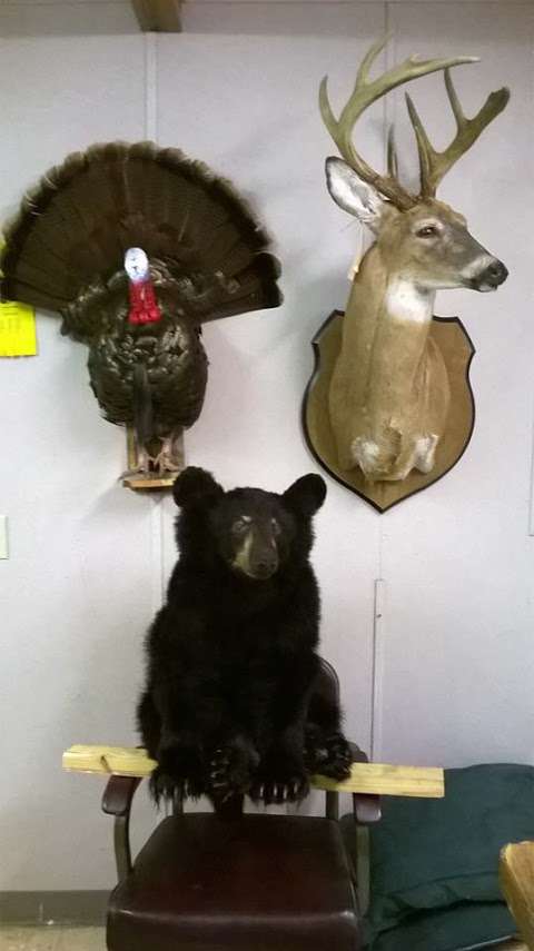 Pendergrass Taxidermy Pendergrass Taxidermy
